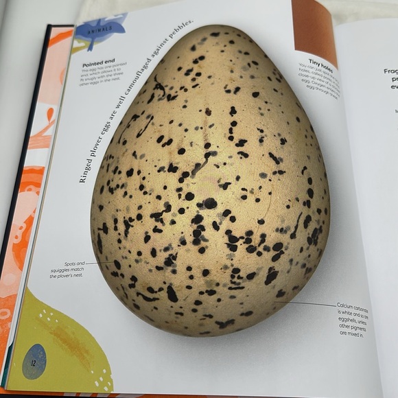 Nature’s Treasures-Tales of more than 100 Extraordinary Objects from Nature - Picture 11 of 14